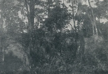 Indian Cabins, 1895