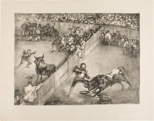 Tjurfäktning i en delad ring, från The Bulls of Bordeaux