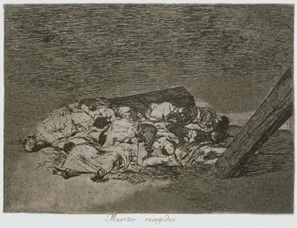 Harvest of the dead, skylt 63 av "The Disasters of War"