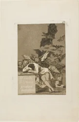The Sleep of Reason Produces Monsters, tallrik 43 från Los Caprichos