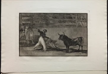 Tjurfäktningar: Harpunernas eller Banderillas ursprung, 1876.