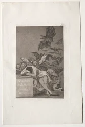 Caprichos: The Sleep of Reason Produces Monsters.