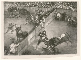 [Les Taureaux de Bordeaux: Platsfördelningen]