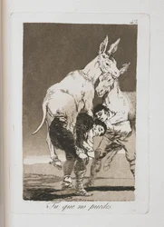 Tallrik från Los Caprichos, 1797-1798