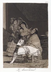 She Fleeces Him (Le descanona), skylt 35 av Los Caprichos, c.1797-98 (etsning & akvatint på papper)