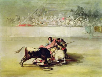 En Picadors fall från sin häst under en tjur