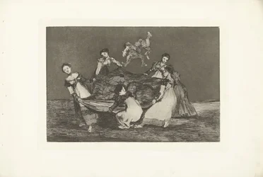 Feminin dårskap Disparat Feminino Los Disparates (Dårskaperna) Los Proverbios (Ordspråken) (serietitel)