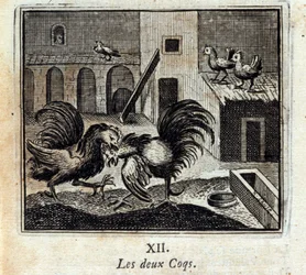 De två tupparna. Fabler av Jean de La Fontaine (1621-95). Illustration av François Chauveau (1613-1676). Utgåva från 1728.