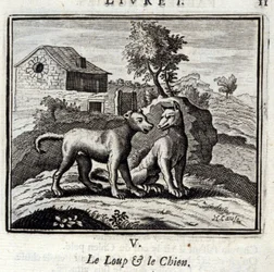 Vargen och hunden. Fabler av Jean de La Fontaine (1621-95). Illustration av Francois Chauveau (1613-1676). Upplaga av 1728.