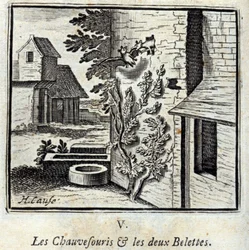 Fladdermusen och de två vesslorna. Fabler av Jean de La Fontaine (1621-95). Illustration av François Chauveau (1613-1676). Upplaga av 1728.