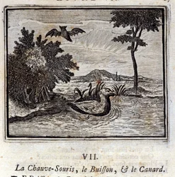Fladdermusen, busken och ankan. Fabler av Jean de La Fontaine (1621-95). Illustration av François Chauveau (1613-1676). Upplaga av 1728.