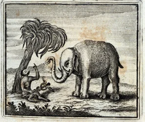 Elefanten och Jupiters apa. Fabler av Jean de La Fontaine (1621-95). Illustration av François Chauveau (1613-1676). Upplaga av 1728.