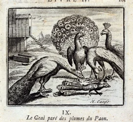 Skrikan pryder sig med påfågelfjädrar. Fabler av Jean de La Fontaine (1621-95). Illustration av François Chauveau (1613-1676). Utgåva från 1728.
