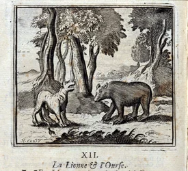 Lejoninnan och björnen. Fabler av Jean de La Fontaine (1621-95). Illustration av François Chauveau (1613-1676). Upplaga av 1728.
