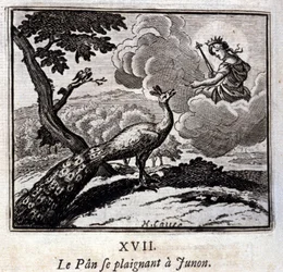 Påfågeln som klagar hos Juno. Fabler av Jean de La Fontaine (1621-95). Illustration av François Chauveau (1613-1676). Upplaga från 1728.