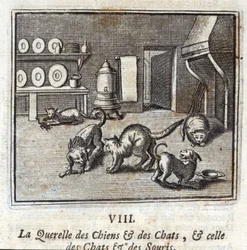 Querelle för hundar och katter och Querelle för katter och möss. Fabler av Jean de La Fontaine (1621-95). Illustrationer av François Chauveau (1613-1676). Upplaga från 1728.