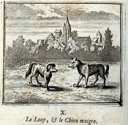 Vargen och den magra hunden. Fabler av Jean de La Fontaine (1621-95). Illustration av François Chauveau (1613-1676). Upplaga av 1728.