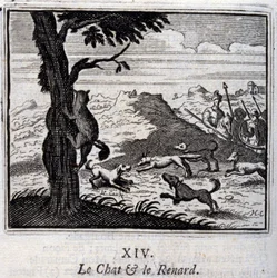 Katten och räven. Fabler av Jean de La Fontaine (1621-95). Illustration av François Chauveau (1613-1676). Upplaga av 1728.