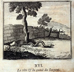 Ormens huvud och svans. Fabler av Jean de La Fontaine (1621-95). Illustration av François Chauveau (1613-1676). Utgåva från 1728.