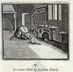 Den gamla katten och den unga musen. Fabler av Jean de La Fontaine (1621-95). Illustration av François Chauveau (1613-1676). Upplaga av 1728.