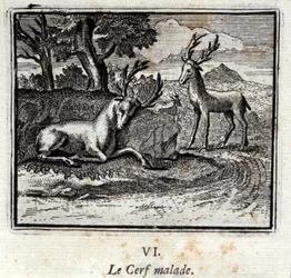 De sjuka rådjuren. Fabler av Jean de La Fontaine (1621-95). Illustration av François Chauveau (1613-1676). Upplaga av 1728.