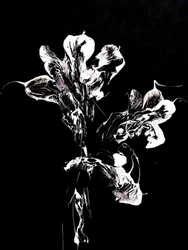 Flytande mörka blommor