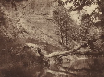 Riverbank,ca. 1855 (foto)