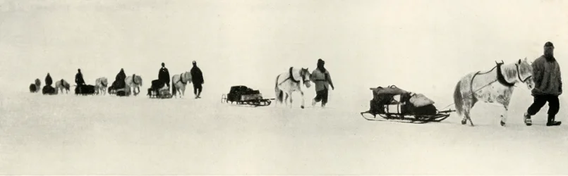 Ponnyer i mars 1911, 1913