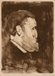 Karikatyr av William Gedney Bunce, 1883-84