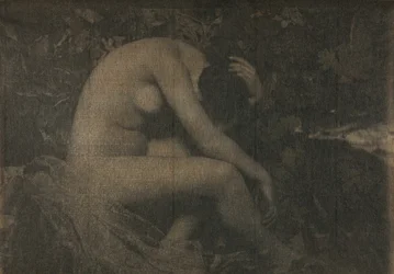 Cikadan, 1898.
