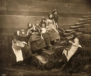 Kvinnor som väntar på dagarnas fångst, Whitby Harbour, North Yorkshire, ca 1899