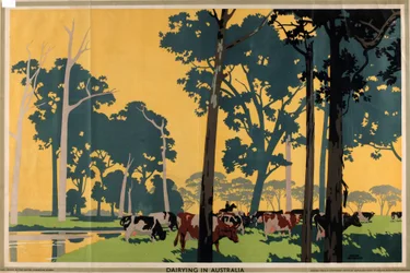 Dairying in Australia, från serien 