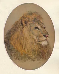 Lions huvud, c1896