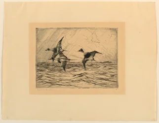 Gamla Squaws