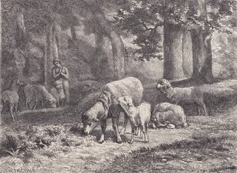 Fåren, från Magasin Pittoresque, 1862.