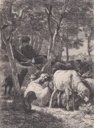 Herden, från Le Magasin Pittoresque, ca. 1852.