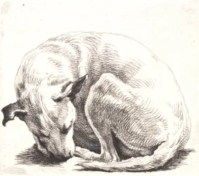 Provtallrik: En hund