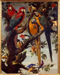 Papegojor och andra fåglar Målning av Frans Snyders (1579-1657) 1600-talet sön. 1,22x0,98 m Grenoble, Musee des Beaux Arts