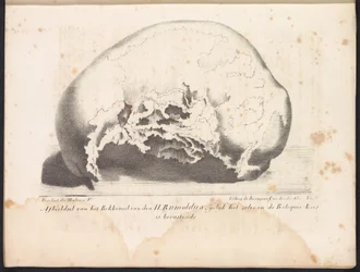Skull of Saint Rombout, 1825 Bild på Bekkeneel van den H. Rumoldus som den ligger i Reliquie-Kas (titel på objektet)