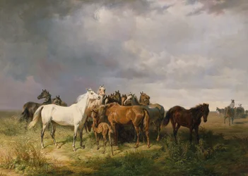 Hästar på Puszta
