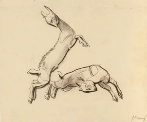 Hoppande Zicklein