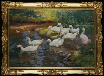 Ankfamilj (änder med kycklingar på bäckbanken)