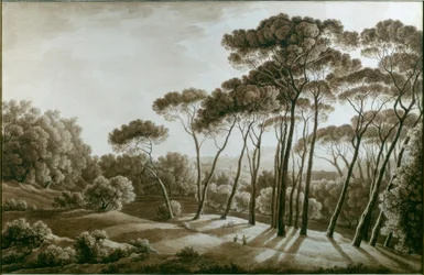 Pinjeträden i Villa Doria Pamphili