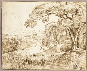 Landskap med panoramautsikt