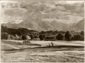 Foothills