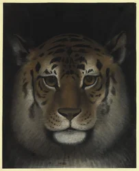 Tigerhuvud