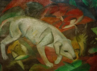 Hund, katt, räv
