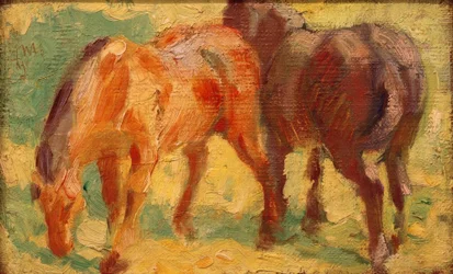 Bild på en liten häst