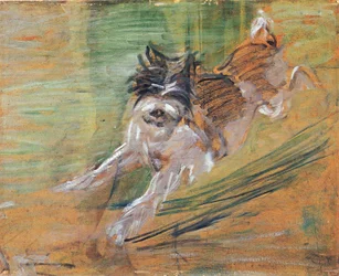 Springande hund