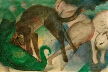 Leker katter (kattbild)